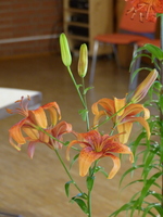 Foto: Dr. Peter Müller